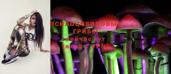 марки nbome Куйбышев