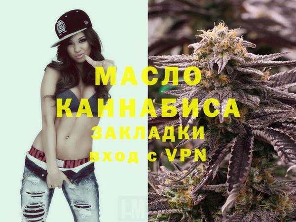 твердый Дмитровск