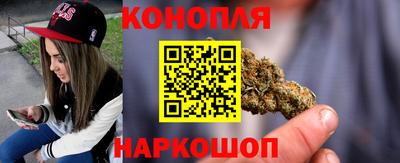сатива Бузулук