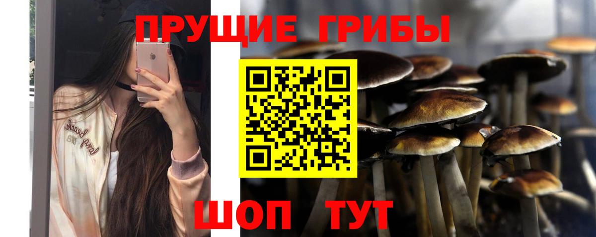 Галлюциногенные грибы ЛСД Ефремов